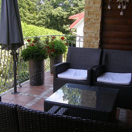 Willa Solina Otel Solina  Dış mekan fotoğraf