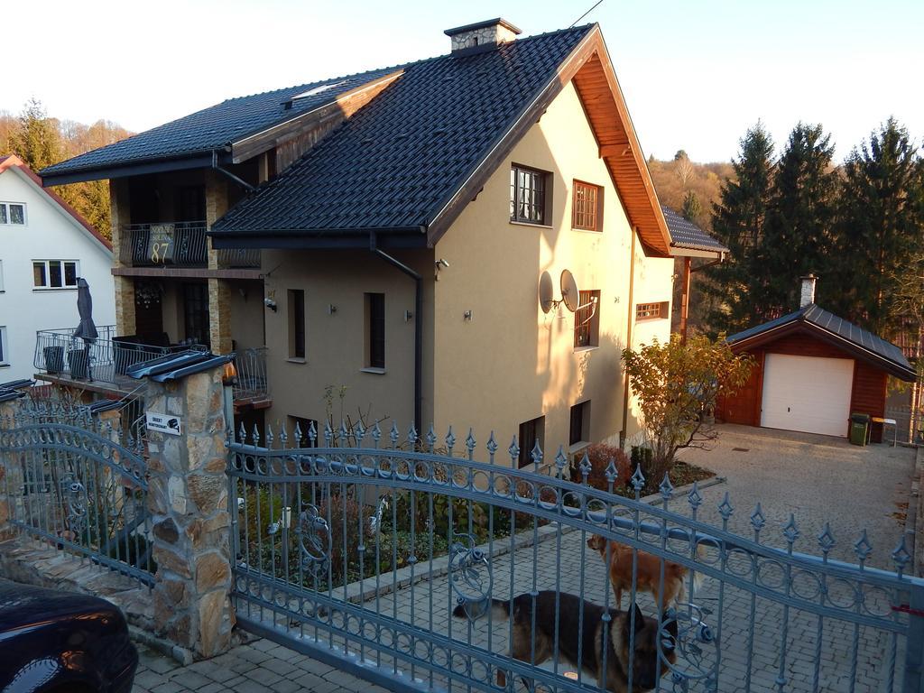 Willa Solina Otel Solina  Dış mekan fotoğraf