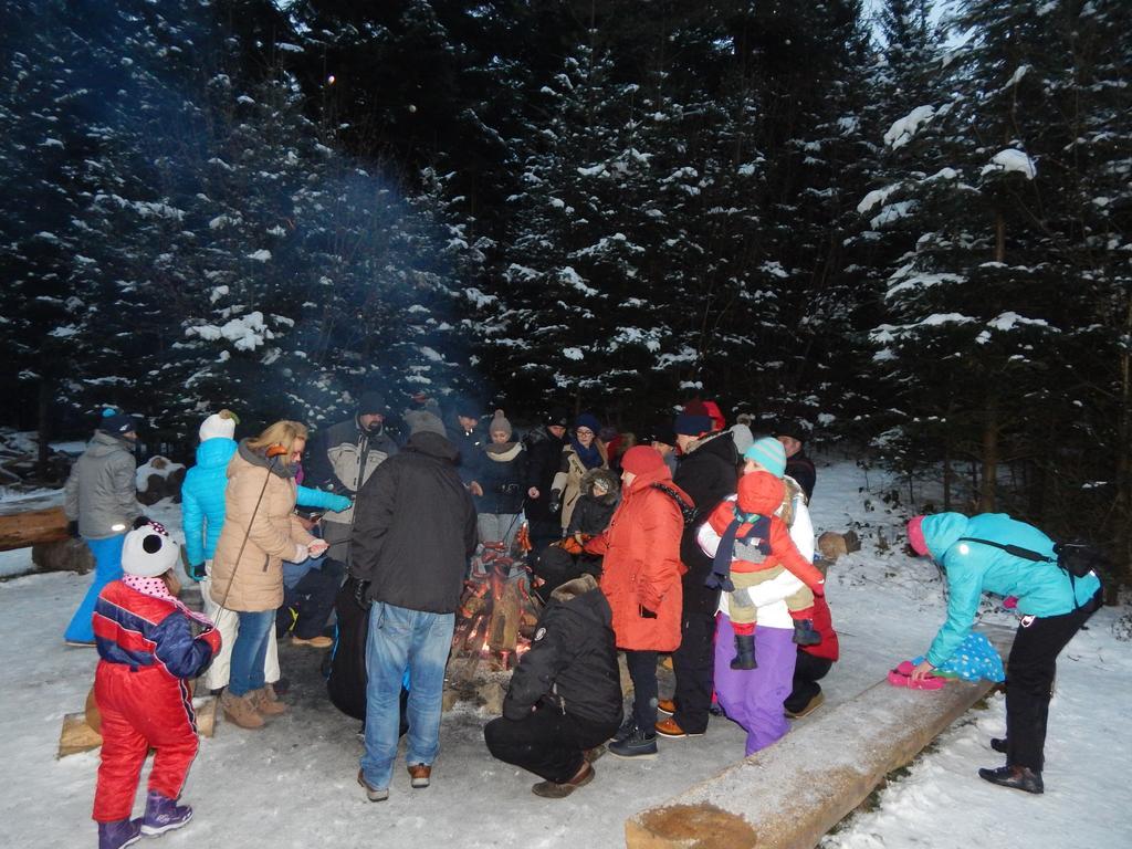 Willa Solina Otel Solina  Dış mekan fotoğraf