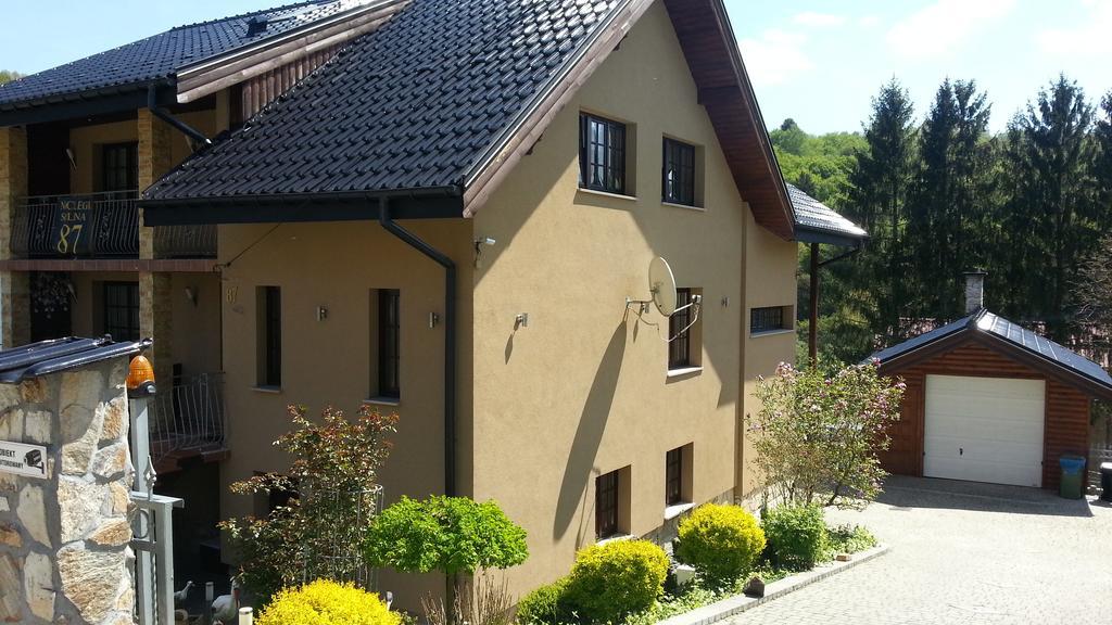 Willa Solina Otel Solina  Dış mekan fotoğraf